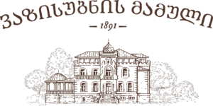 VS-logo-full-ge