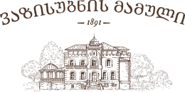 VS-logo-full-ge